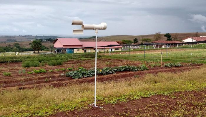  Pesquisadores do Paraná usam Inteligência Artificial para combate da ferrugem da soja